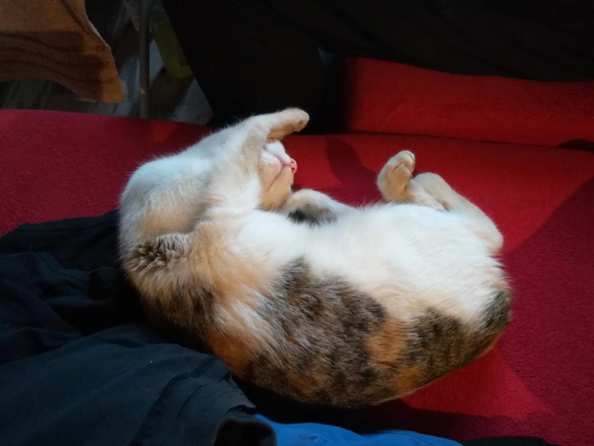 Dolina Rosy * Ustrzyki Dolne