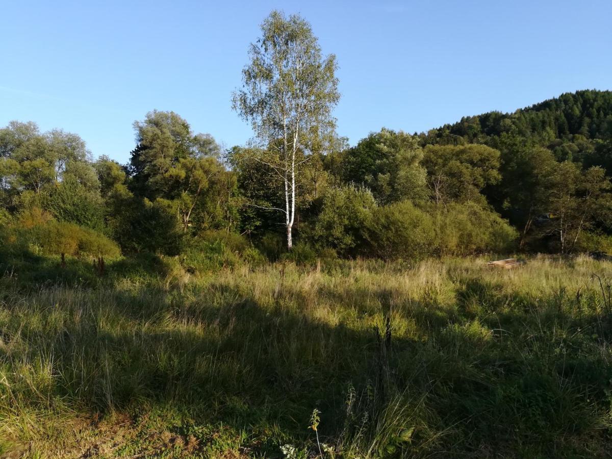 Dolina Rosy Chalet Ustrzyki Dolne