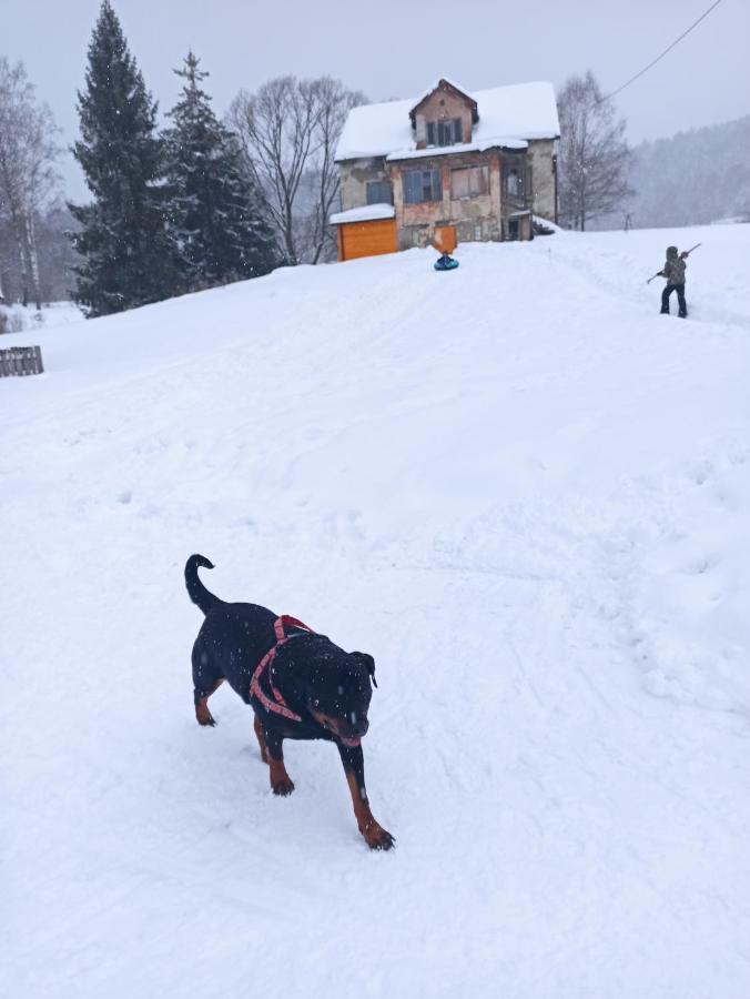 Dolina Rosy Chalet Ustrzyki Dolne